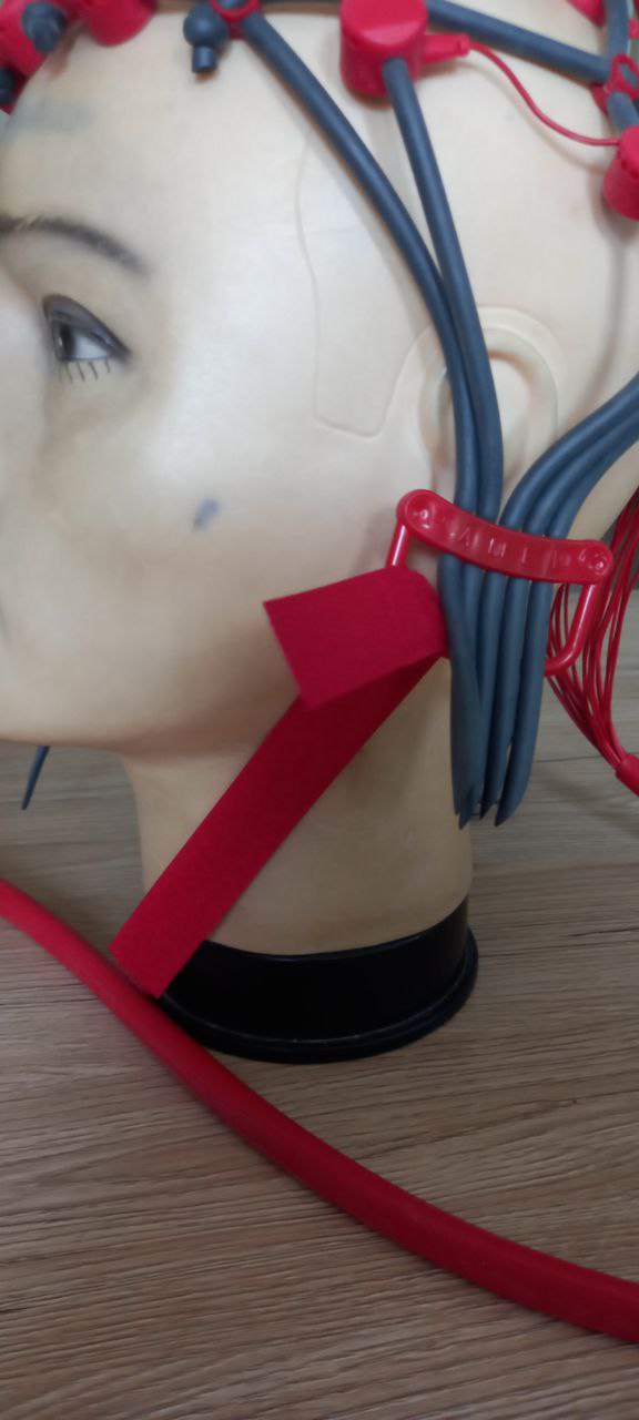 PAMEL EEG Product